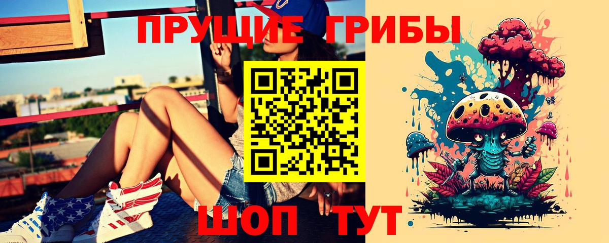 Псилоцибиновые грибы Psilocybe Красный Сулин