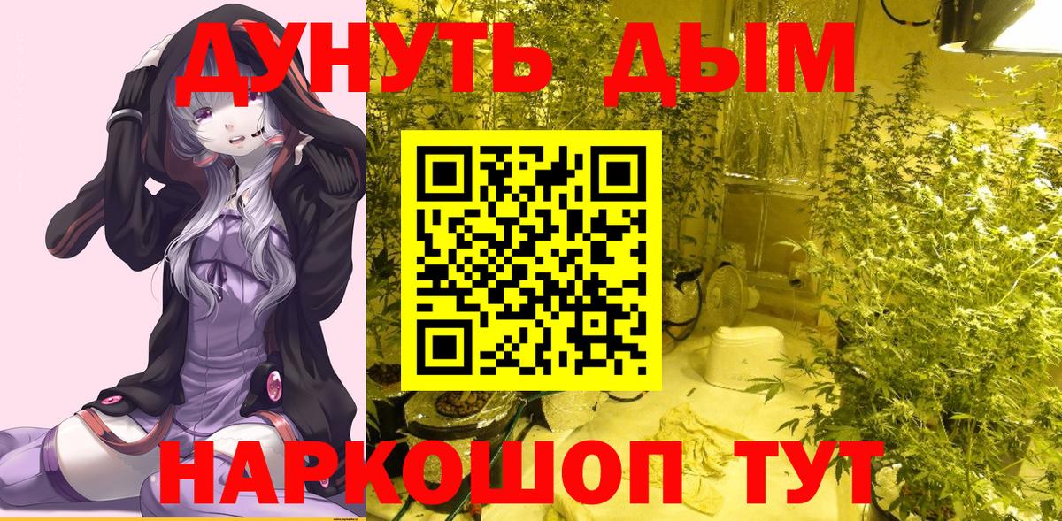 Канабис планчик Красный Сулин
